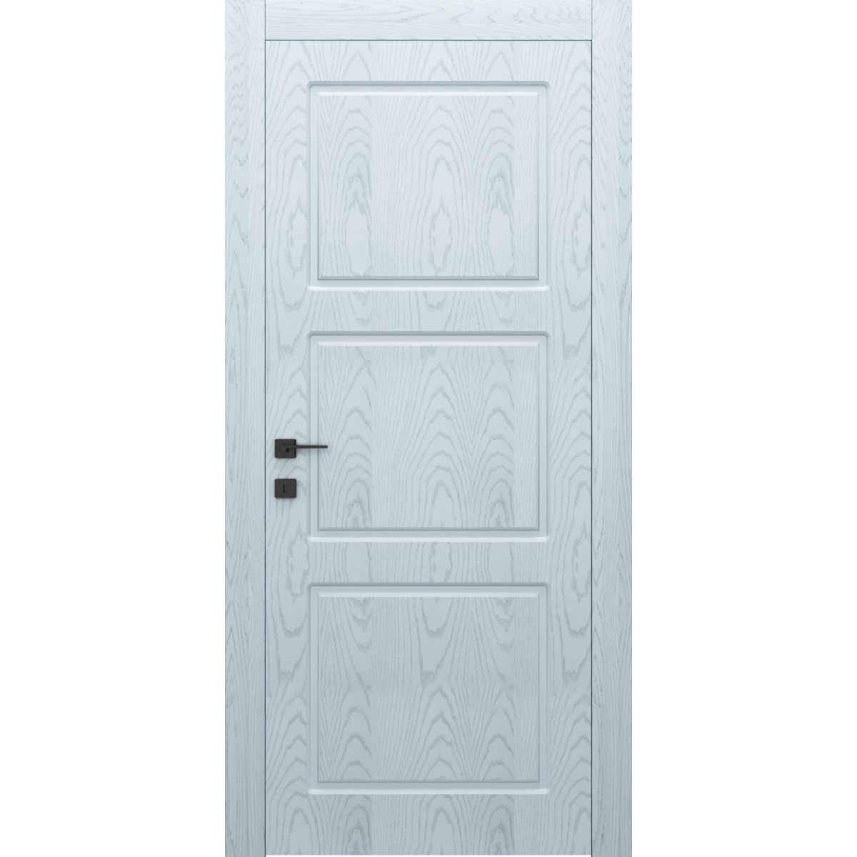 Міжкімнатні двері Dooris Classic Wood CW10 (фарбований шпон ясеня)
