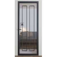 Межкомнатные двери Dooris Glass DG6 (стеклянные) с молдингом