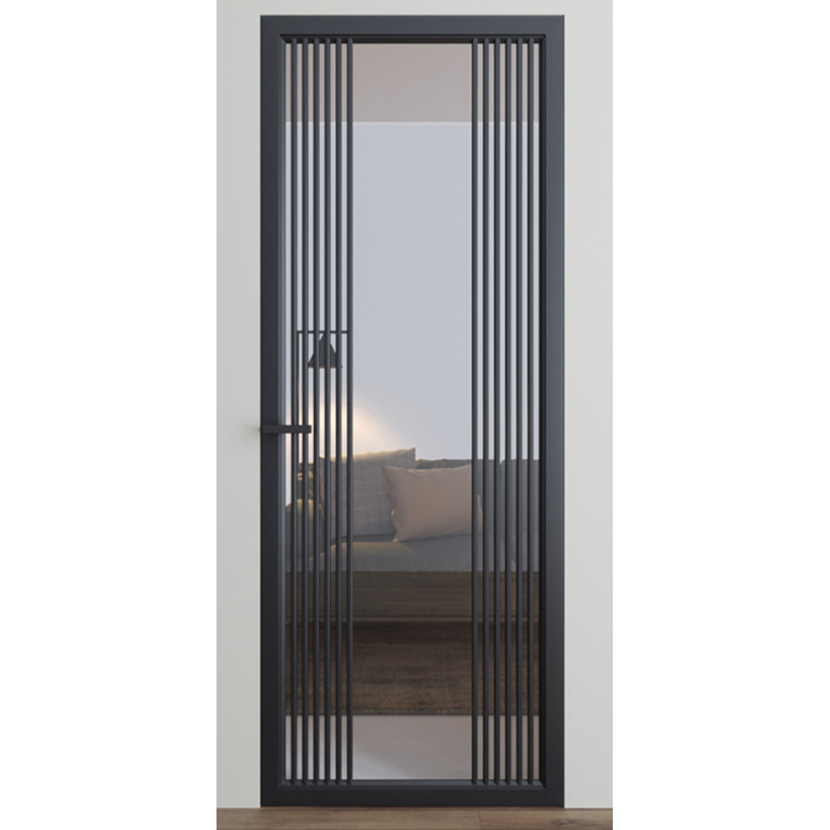 Міжкімнатні двері Dooris Glass DG9 (скляні) з молдингом