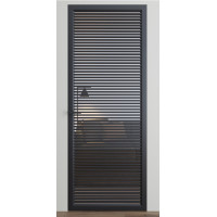 Межкомнатные двери Dooris Glass DG10 (стеклянные) с молдингом