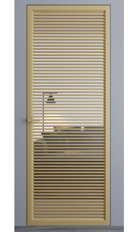 Межкомнатные двери Dooris Glass DG10 (стеклянные) с молдингом