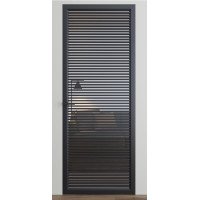 Межкомнатные двери Dooris Glass DG10 (стеклянные) с молдингом