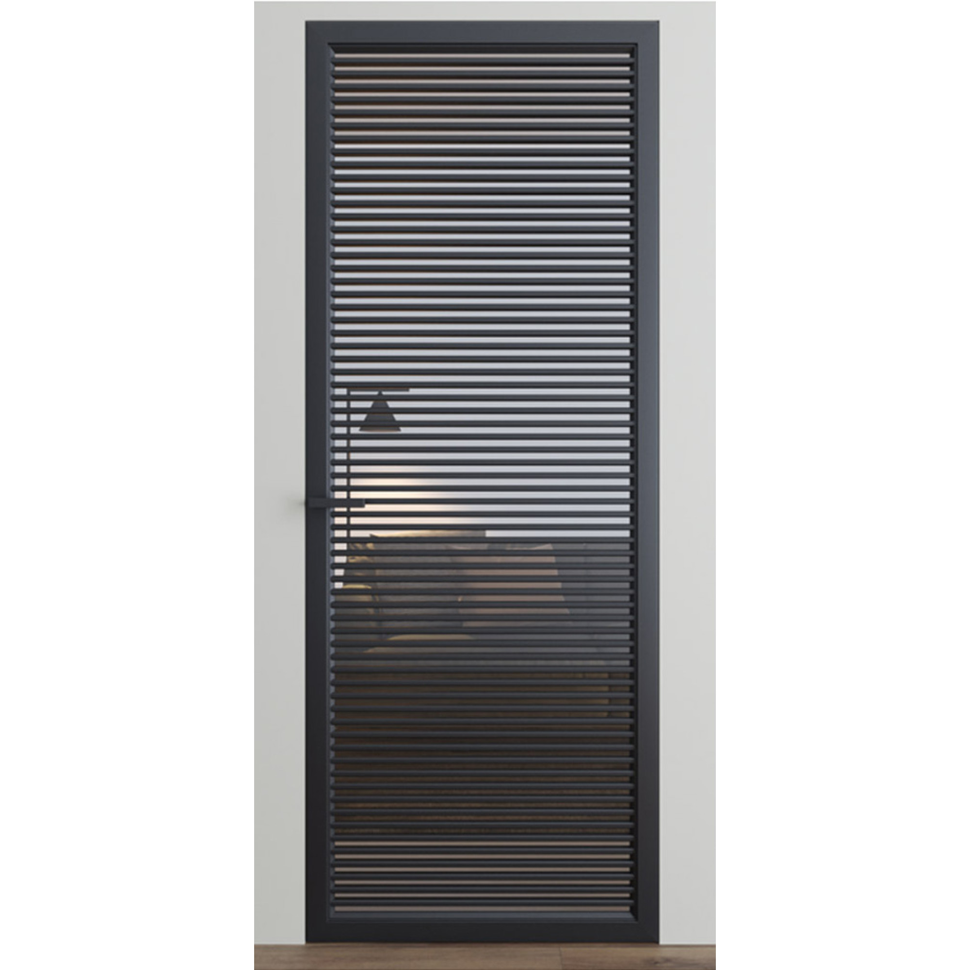 Купити Міжкімнатні двері Dooris Glass DG10 (скляні) з молдингом за