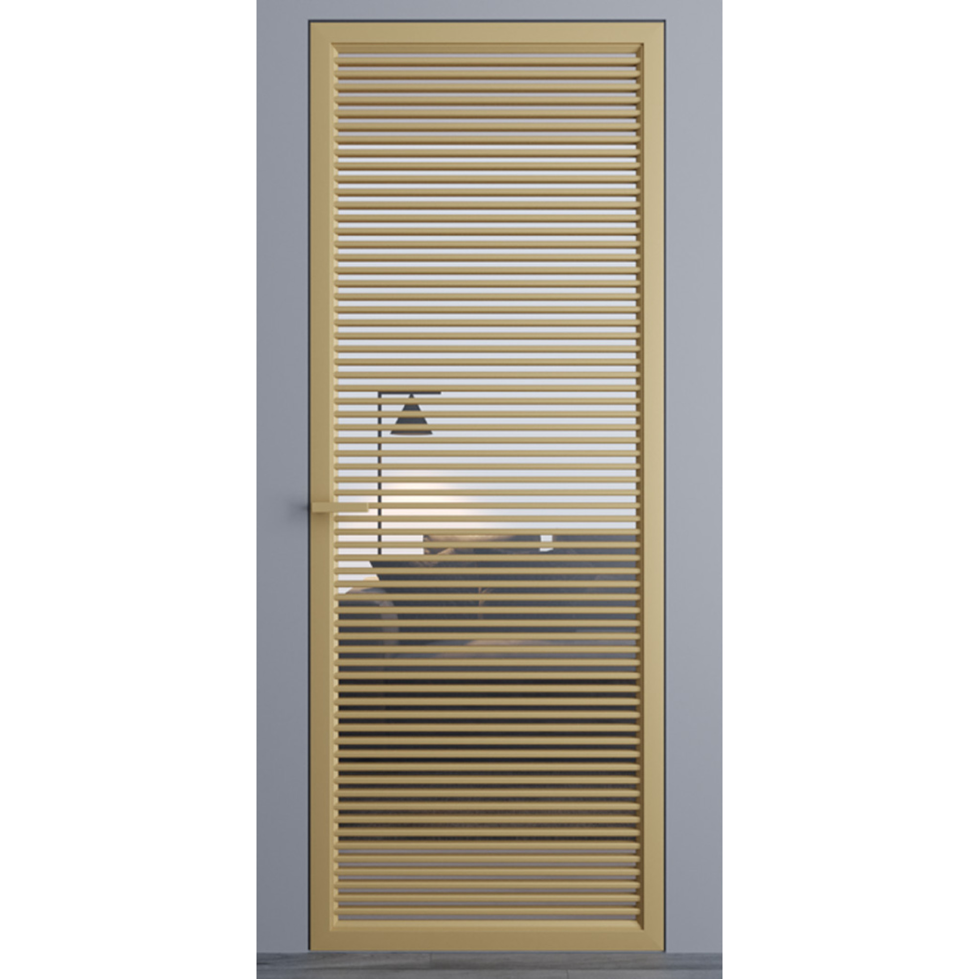 Купити Міжкімнатні двері Dooris Glass DG10 (скляні) з молдингом за