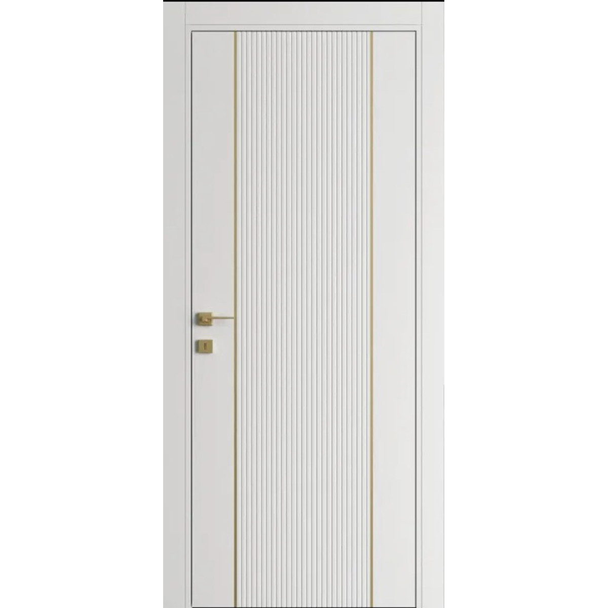 Межкомнатные двери Dooris Form FR12 с молдингом (краска)