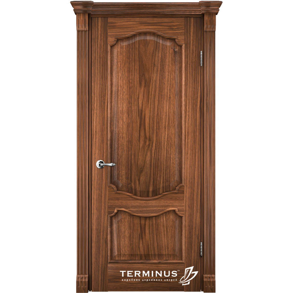 Міжкімнатні двері Terminus 41 ПГ Caro (натуральний шпон)