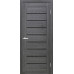 Міжкімнатні двері Doors C018 екошпон