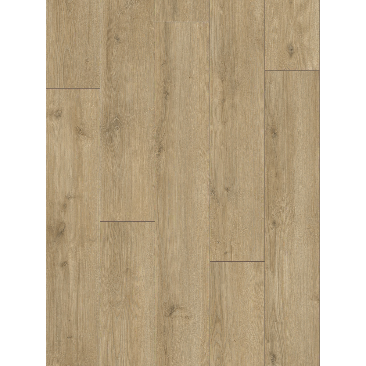 Ламинат Classen Life 4V WR 64973 Дуб Бари Ламинат Classen Life 4V WR 64973 Дуб Бари