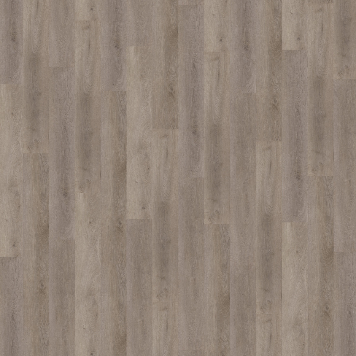 Виниловое напольное SPC покрытие Wineo 400 DB Wood L "Balanced Oak Grey"