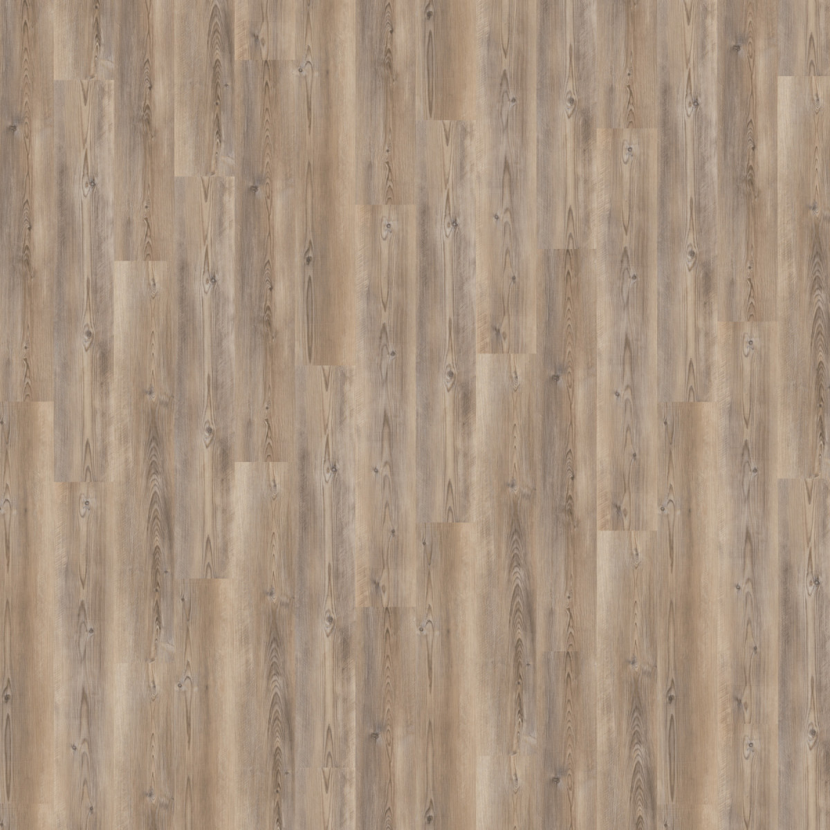 Вінілове підлогове SPC покриття Wineo 400 DB Wood L "Coast Pine Taupe"