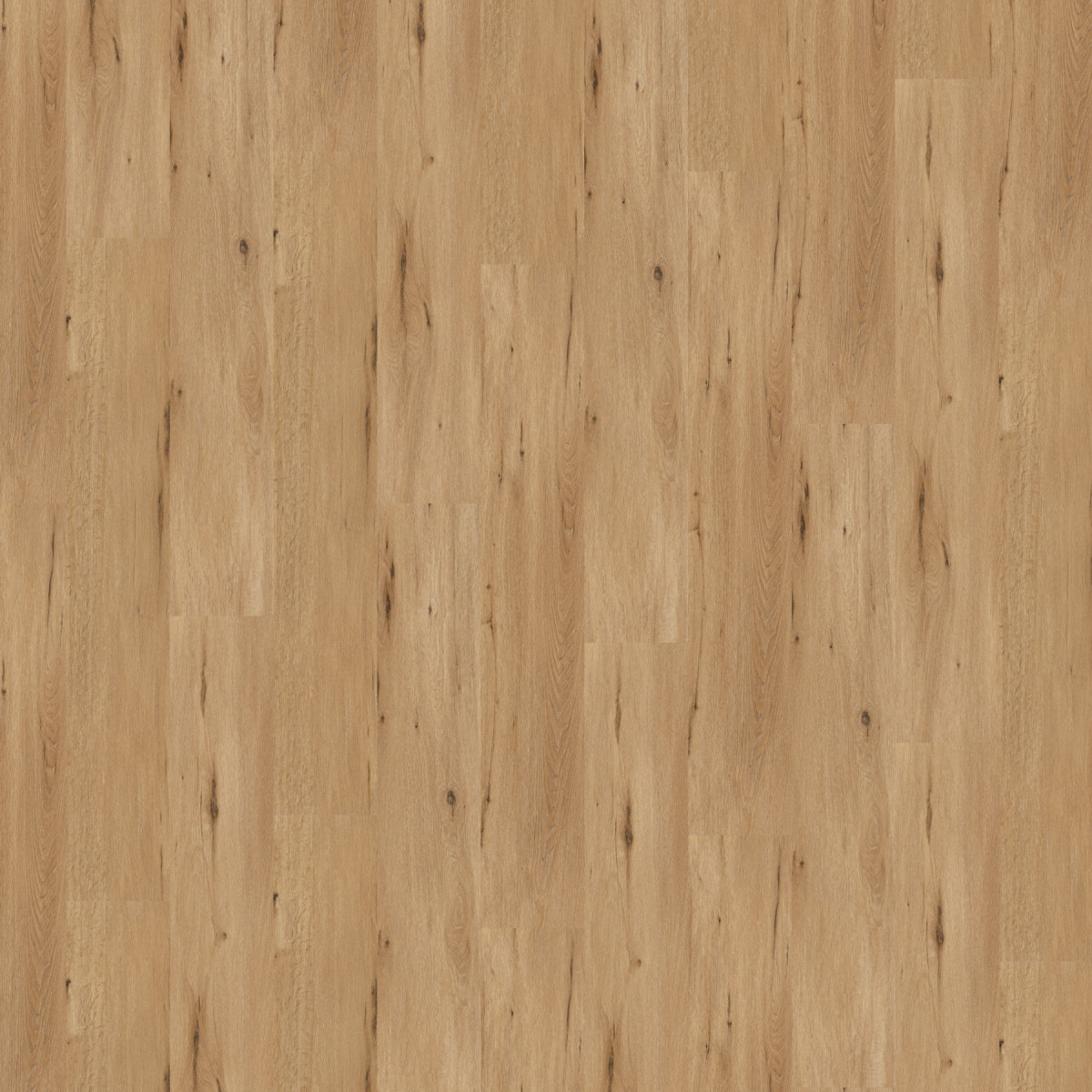 Виниловое напольное SPC покрытие Wineo 400 DB Wood XL "Country Oak Nature" Виниловое напольное SPC покрытие Wineo 400 DB Wood XL "Country Oak Nature"