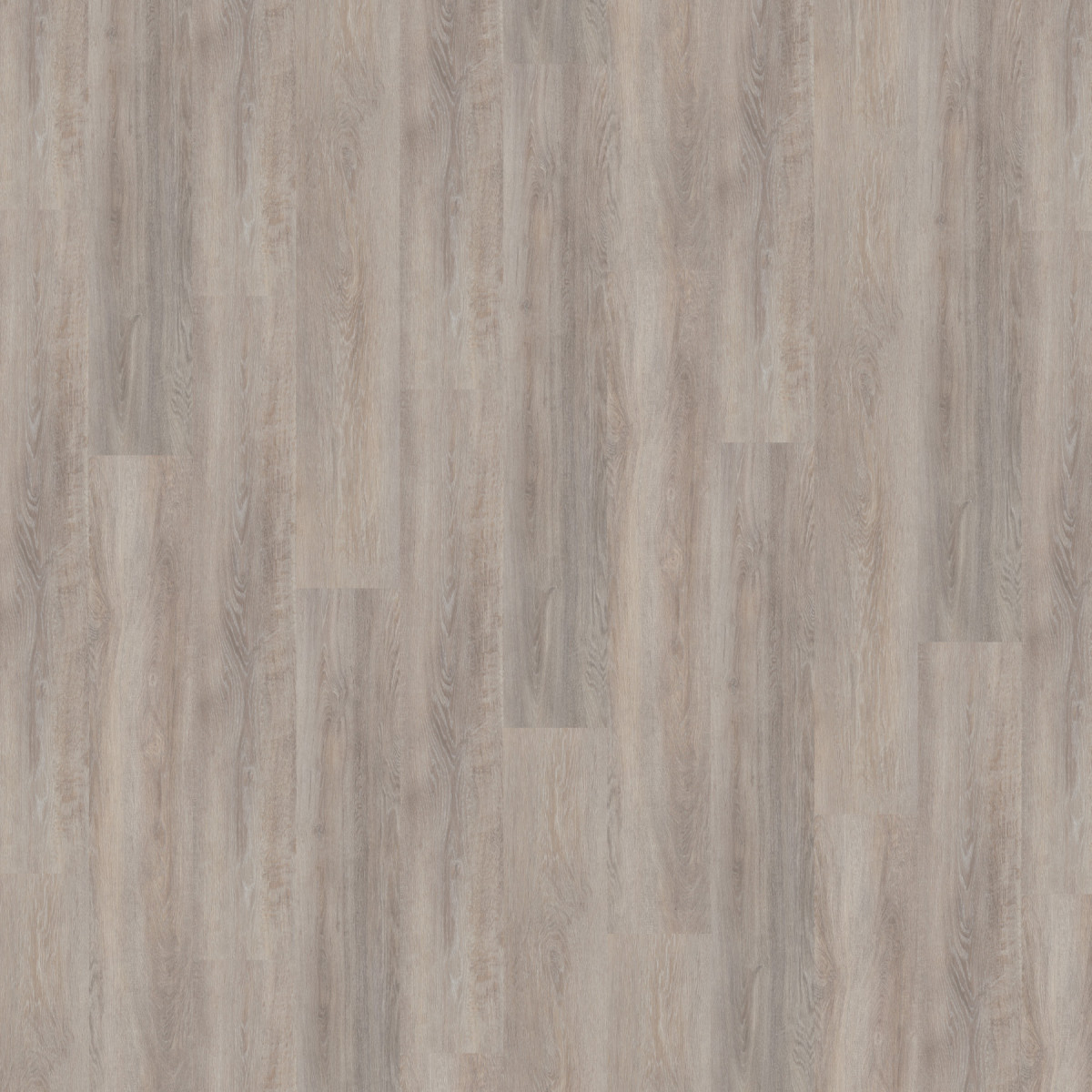 Виниловое напольное SPC покрытие Wineo 400 DB Wood XL "Limed Oak Silver" Виниловое напольное SPC покрытие Wineo 400 DB Wood XL "Limed Oak Silver"