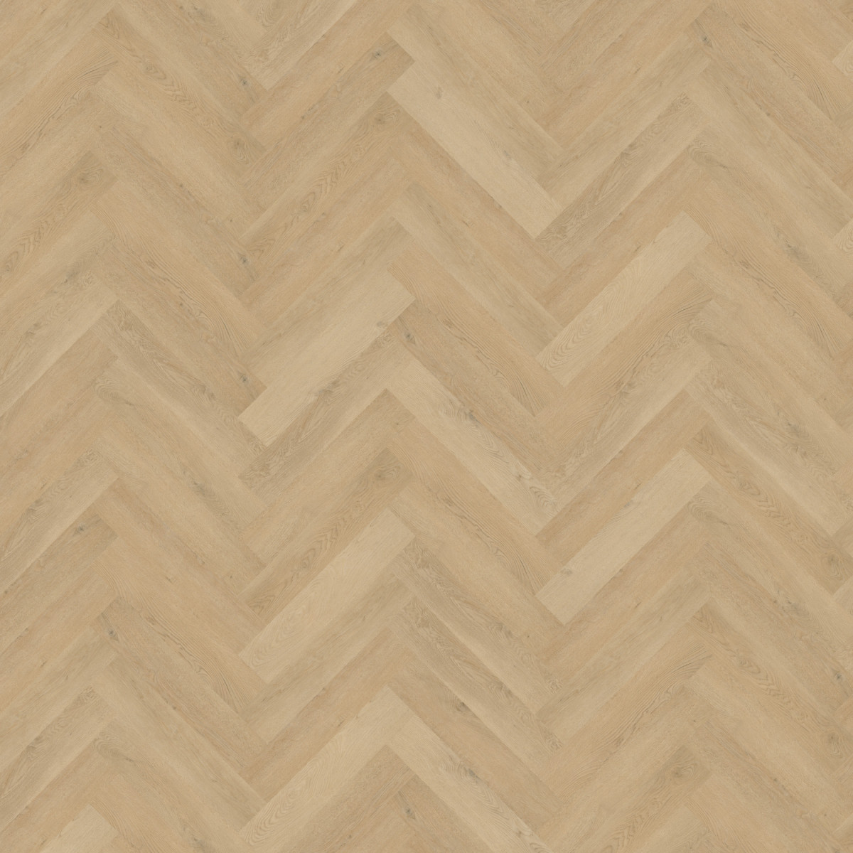 Виниловое напольное SPC покрытие Wineo 400 DB Wood L "Plain Oak Beige" Виниловое напольное SPC покрытие Wineo 400 DB Wood L "Plain Oak Beige"