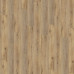 Виниловое напольное SPC покрытие Wineo 400 ML Wood XL "Joy Oak Tender" Виниловое напольное SPC покрытие Wineo 400 ML Wood XL "Joy Oak Tender"