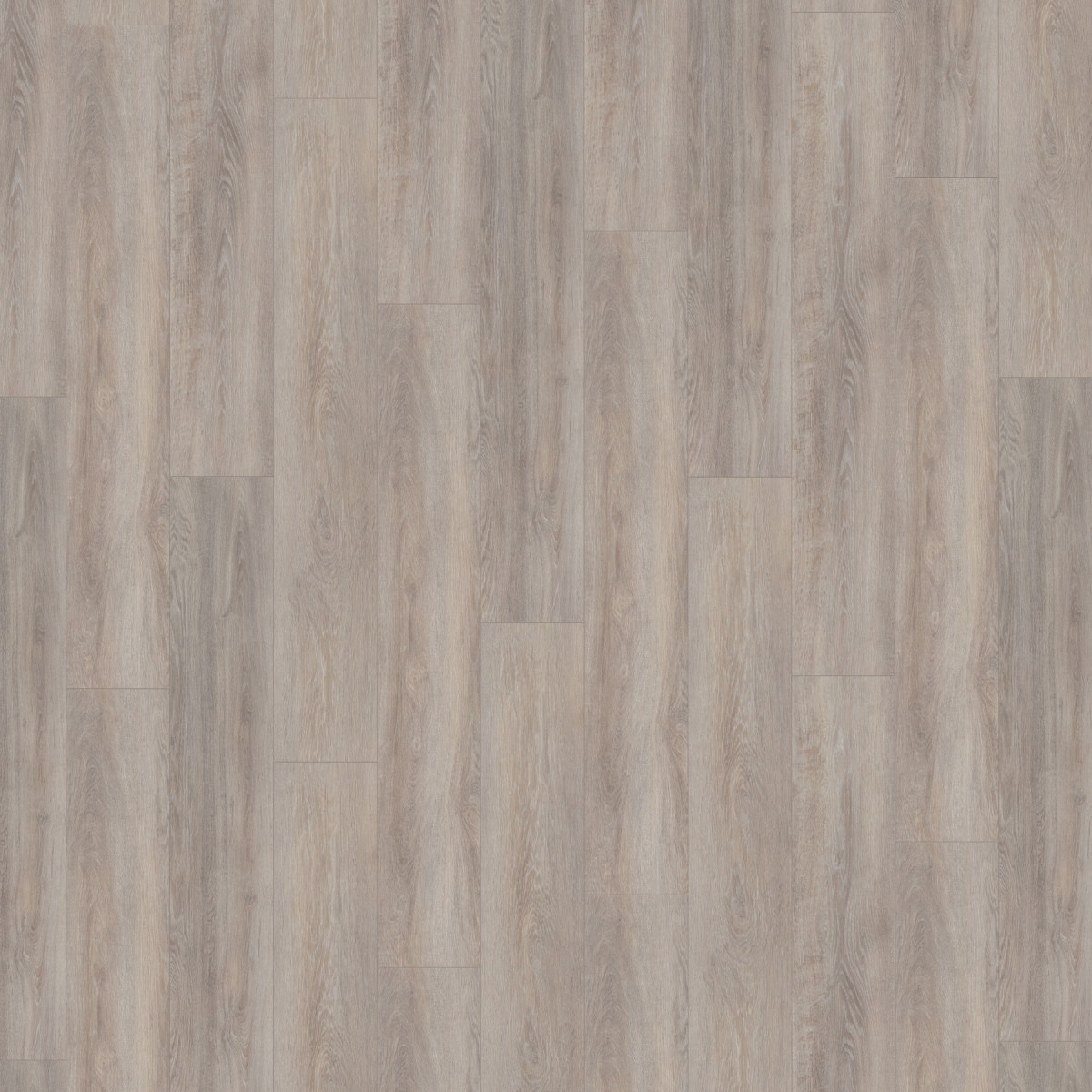 Вінілове підлогове SPC покриття Wineo 400 ML Wood XL "Limed Oak Silver"