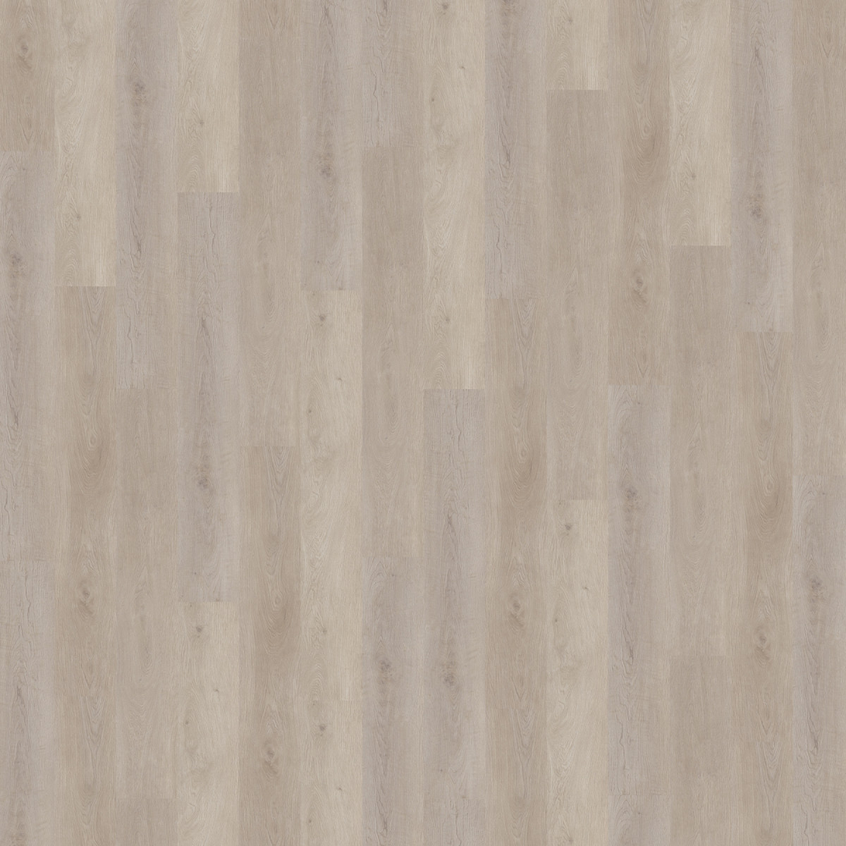 Вінілове підлогове SPC покриття Wineo 400 ML Wood "Balanced Oak Lightgrey"