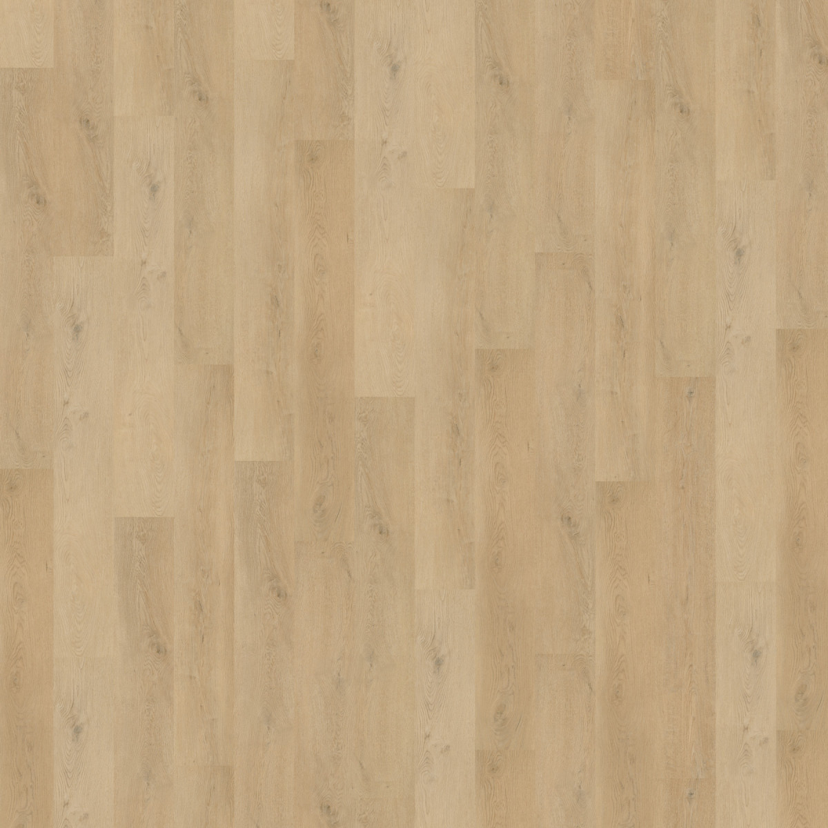 Виниловое напольное SPC покрытие Wineo 400 ML Wood "Plain Oak Beige"