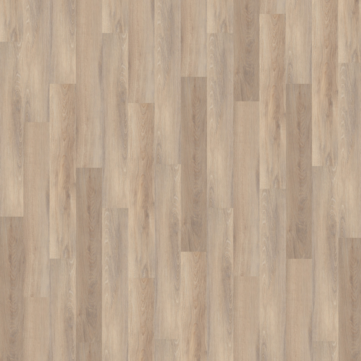 Вінілове підлогове SPC покриття Wineo 400 ML Wood "Vibrant Oak Beige"