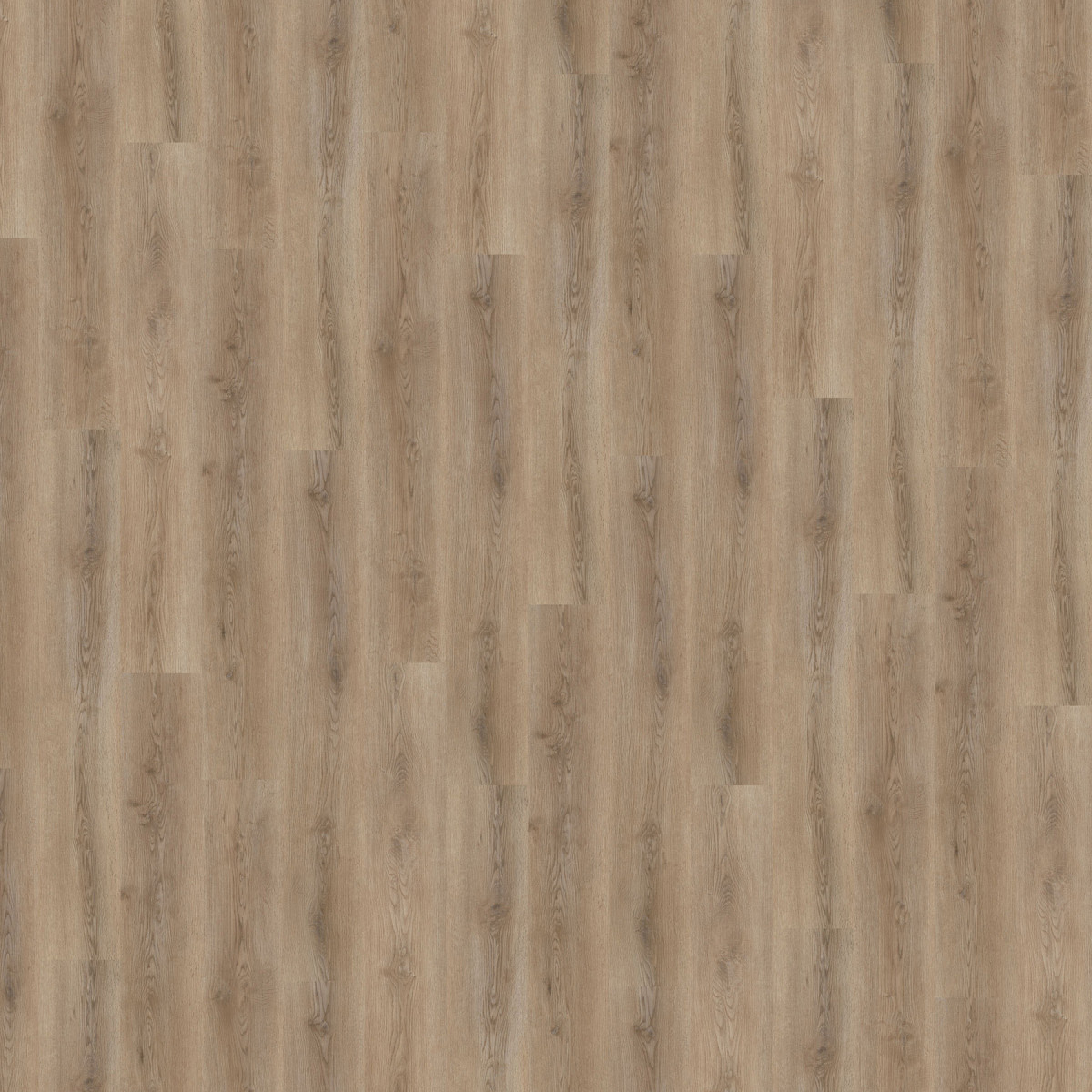 Вінілове підлогове SPC покриття Wineo 600 RLC Wood "#SmoothPlace"