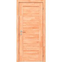 Міжкімнатні двері Woodmix Master глухе Rodos