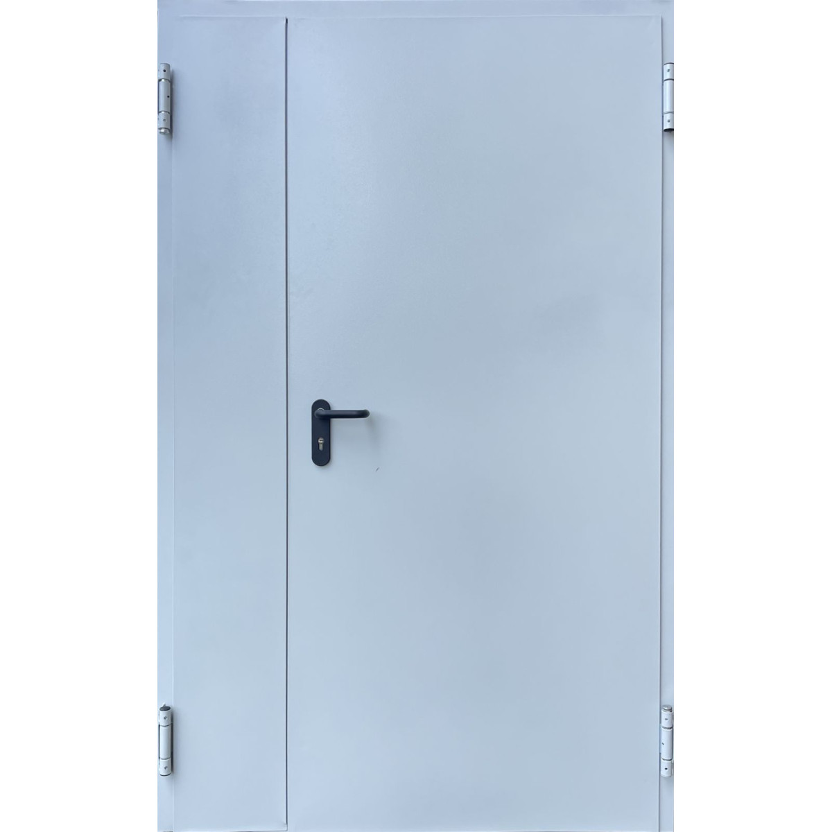 Входная техническая дверь Qdoors "Противопожарная" ЕІ60 (двухстворчатые) + петли с дотяжкой